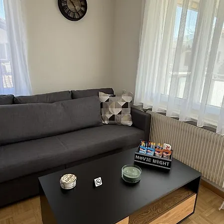 Zentrale Und Charmante In Seenaehe Apartment *