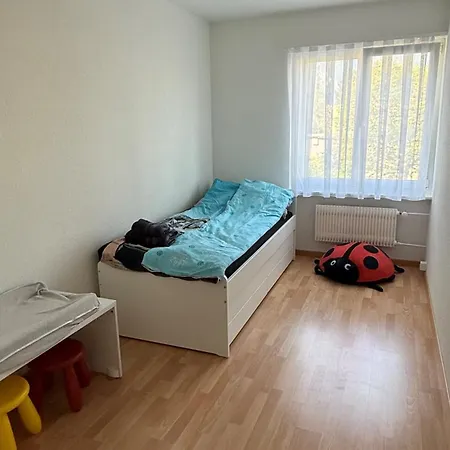 Apartment Zentrale Und Charmante In Seenaehe