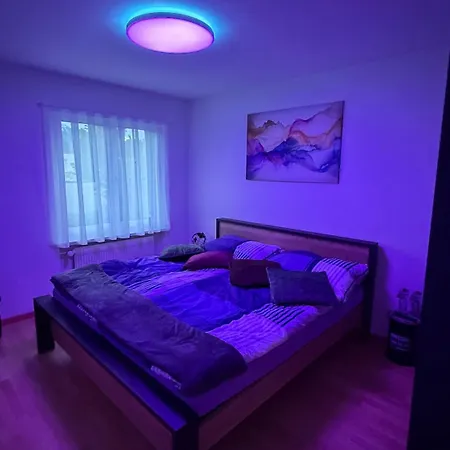 Zentrale Und Charmante In Seenaehe Apartment Thun